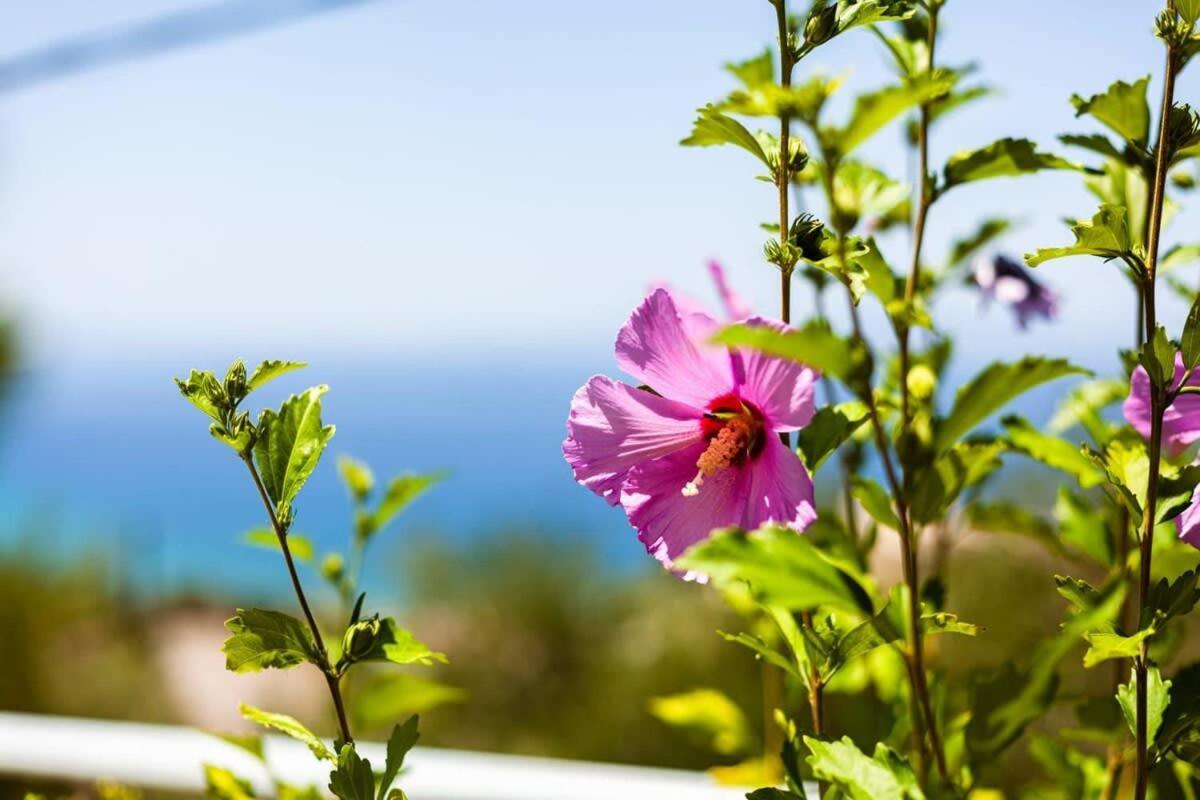 Villa Aigli Fully Equipped Getaway - Seaview Lux Retreat Kalamata Exterior foto